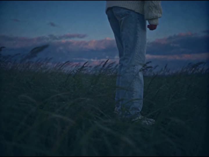 Still from Specimen, an AI video: a figure in white crossing a field of tall grass at dusk