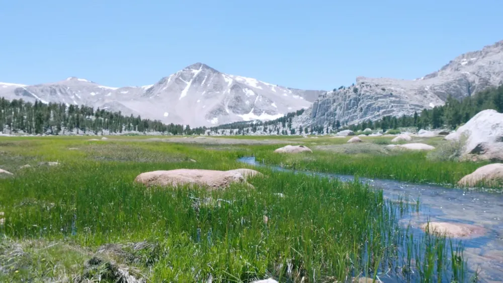 Photograph of a mountain meadow and stream